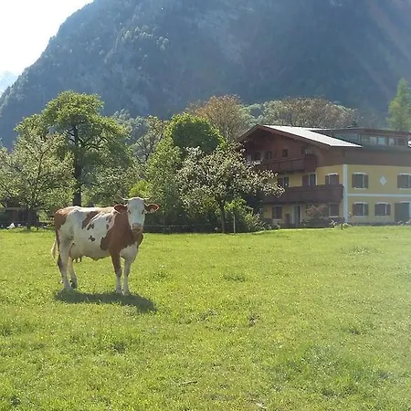 Apartmán Starbauer Golling an der Salzach